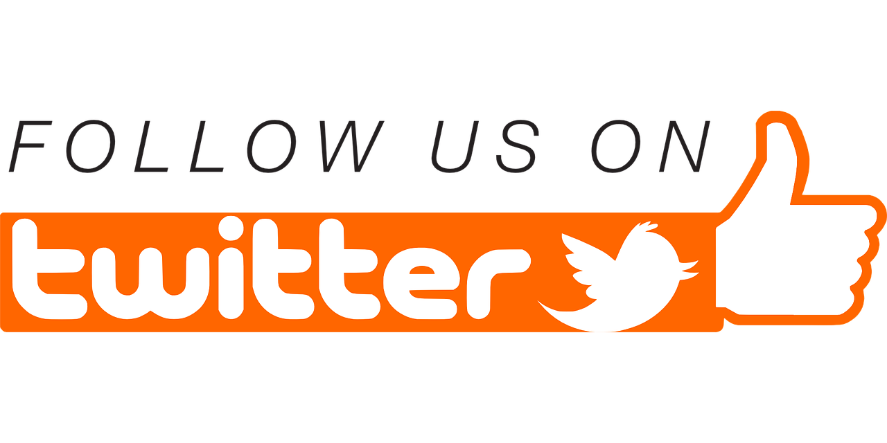 follow, twitter, social networking